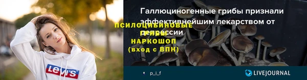 spice Сосновка