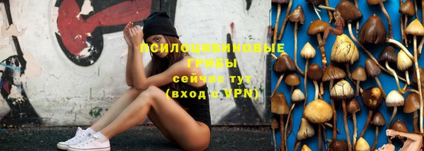 прущий лед Касимов