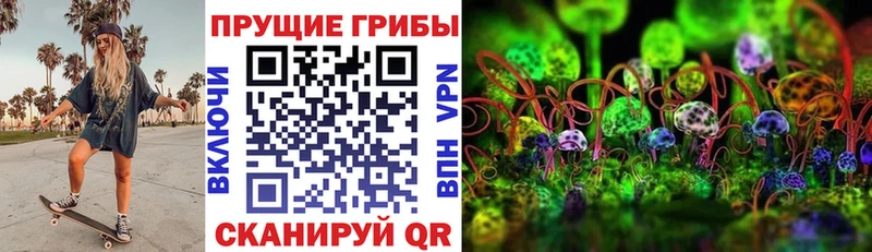 hydra как зайти  где купить   Гай  Галлюциногенные грибы MAGIC MUSHROOMS 